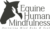 Equine Human Mindfulness