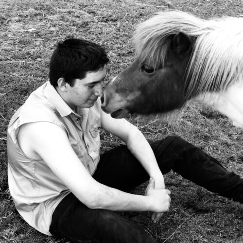 Equine Human Mindfulness emo